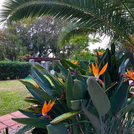 Puerto Banus Lucy Apartment