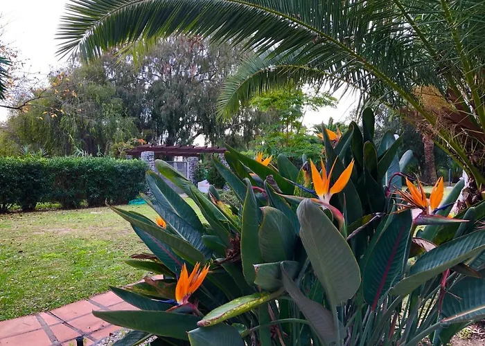 Puerto Banus Lucy Apartment