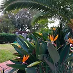 Puerto Banus Lucy شقة